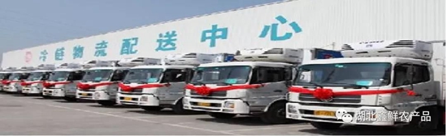 c5901cbee52c4bf2999a1a2d0857dc59.jpg